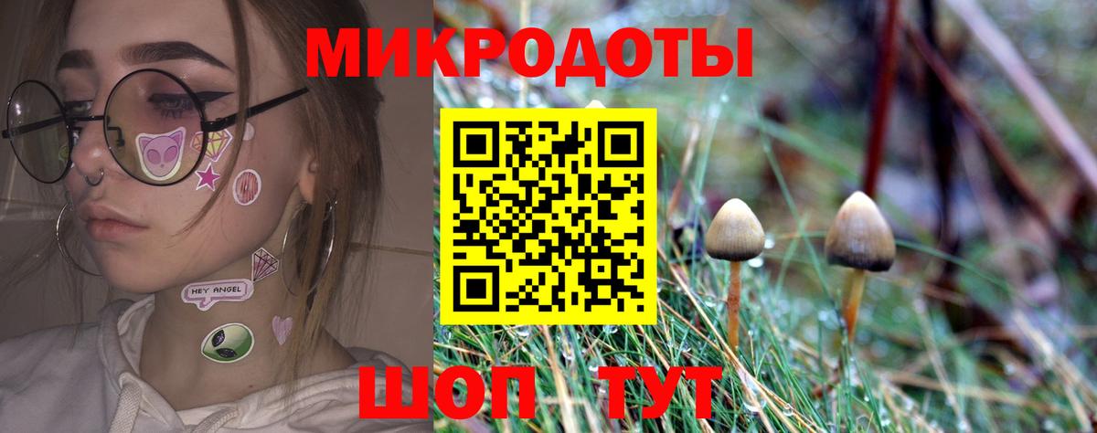Кострома  Галлюциногенные грибы GOLDEN TEACHER  Вход с VPN 